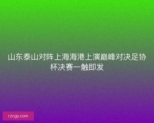 山东泰山对阵上海海港上演巅峰对决足协杯决赛一触即发